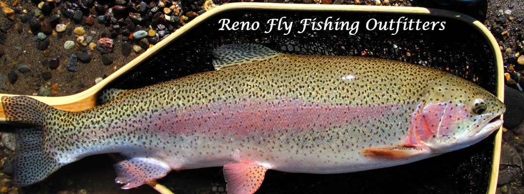 Reno Fly Fishing Outfitters